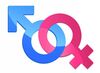 Gender.jpg