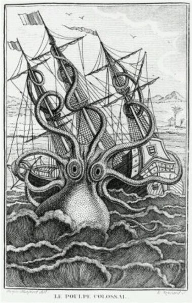 Файл:Giant octopus.jpg