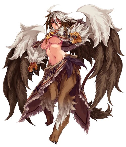 Griffon.jpg