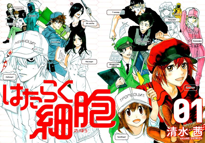 Файл:Hataraku Saibou персонажи.jpg