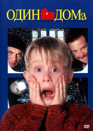 Home Alone.jpg