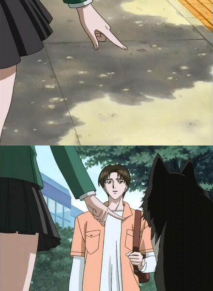 Файл:Invisible dog.jpg