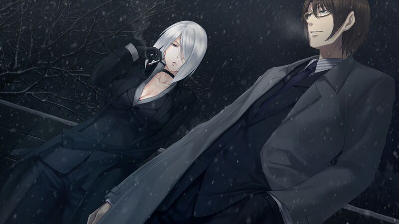 Файл:Kara.no.Shoujo.2.full.1423022.jpg