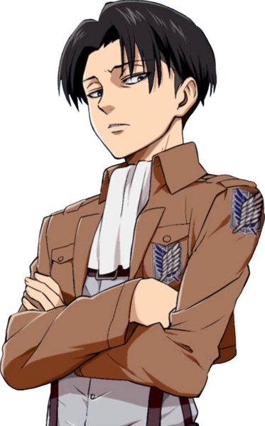 Файл:Levi.png
