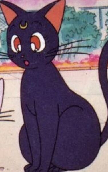 Файл:Luna2.jpeg
