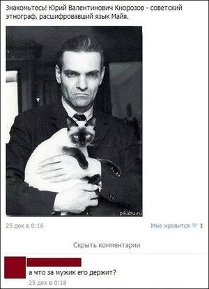 Maya cat.jpg