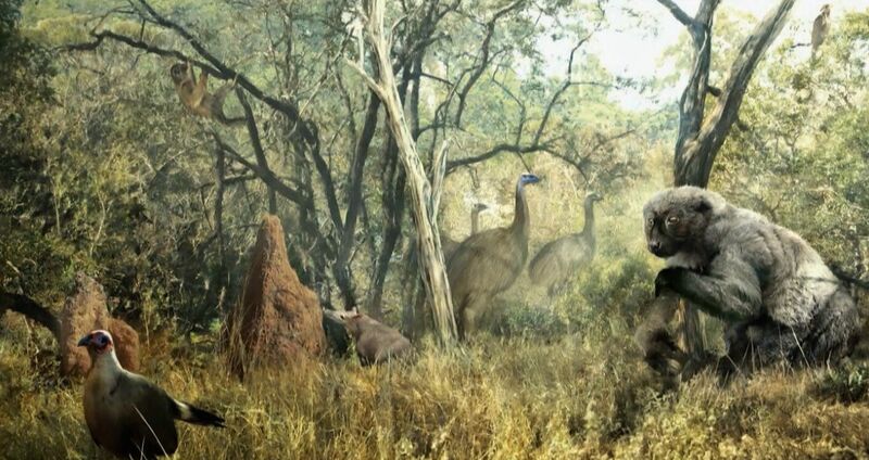 Файл:Megafauna Madagaskara.jpg