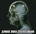 Миниатюра для версии от 17:33, 5 ноября 2022