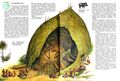 Миниатюра для версии от 21:13, 11 июня 2022