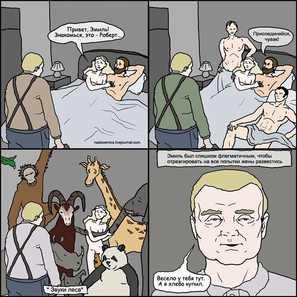 Файл:NZR.jpg