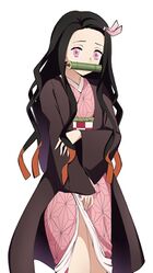 Nezuko.jpg