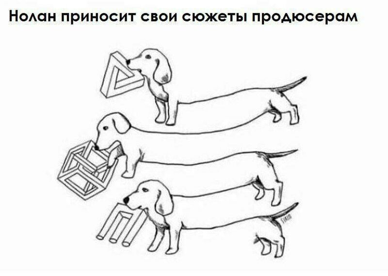 Файл:Nolan Stories.jpg