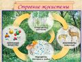 Миниатюра для версии от 16:34, 26 ноября 2022