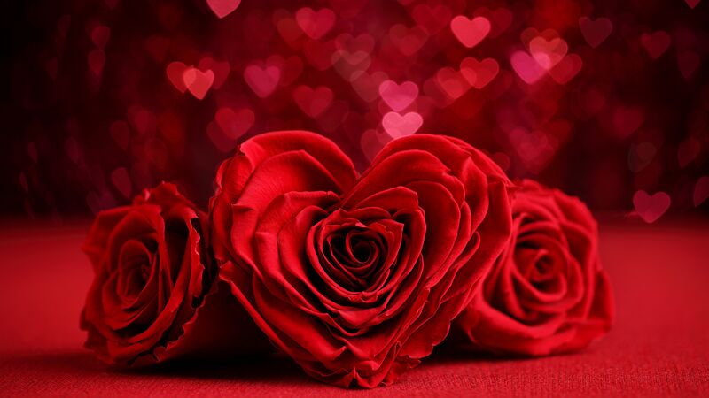 Файл:Red roses and hearts.jpg