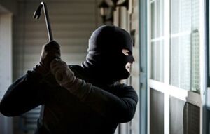 Robber.jpg