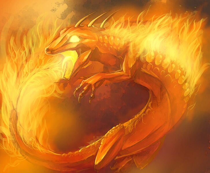 Файл:Salamander.jpg