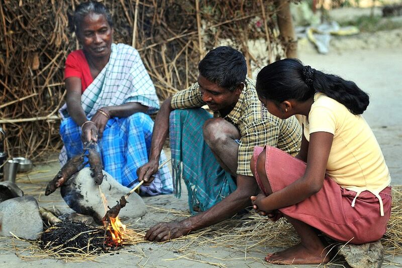 Файл:Shudras eating rats.jpg