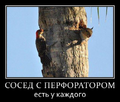 Миниатюра для версии от 19:25, 2 ноября 2022