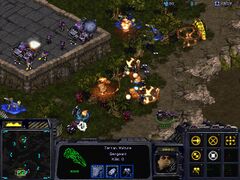 Starcraft.jpeg
