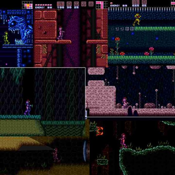 Файл:Super Brinstar Maridia.jpg