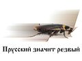 Миниатюра для версии от 16:37, 30 ноября 2022