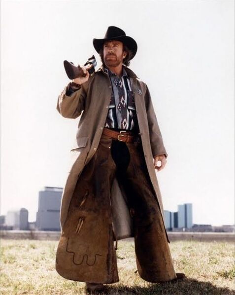 Файл:TexasRanjer.jpg
