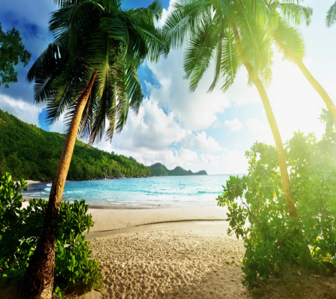 Файл:Tropical beach.png