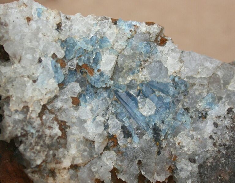 Файл:True Blue Beryl.jpg