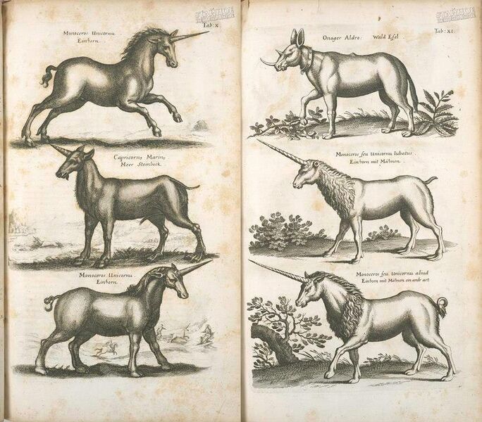 Файл:Unicorns.jpg