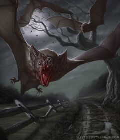 Vampire bat.jpg