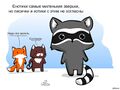 Миниатюра для версии от 18:33, 2 ноября 2022