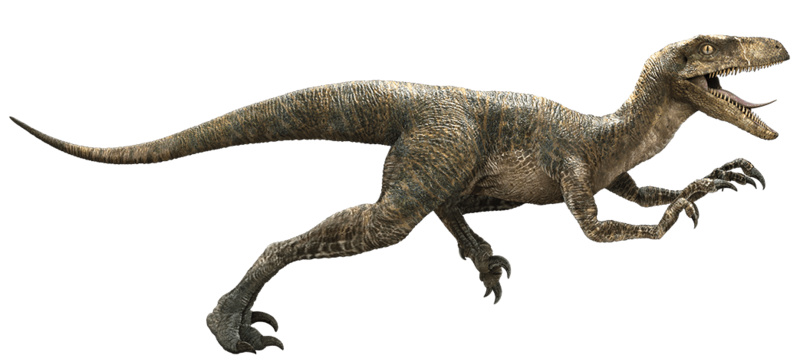 Файл:Velociraptor-detail-header.png