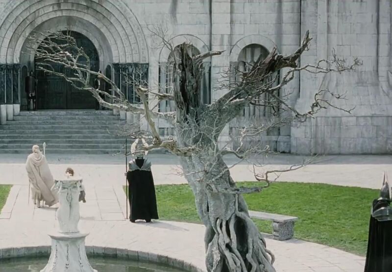 Файл:White tree.jpg