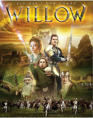Willow.jpg
