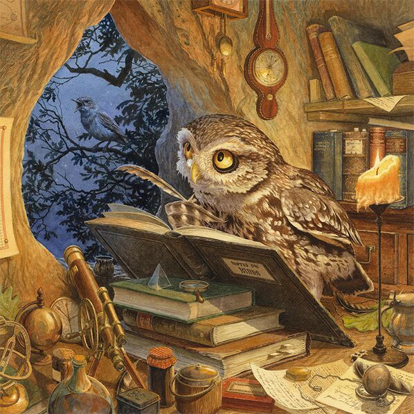 Файл:Wise old owl.jpg