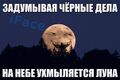 Миниатюра для версии от 21:34, 20 октября 2022