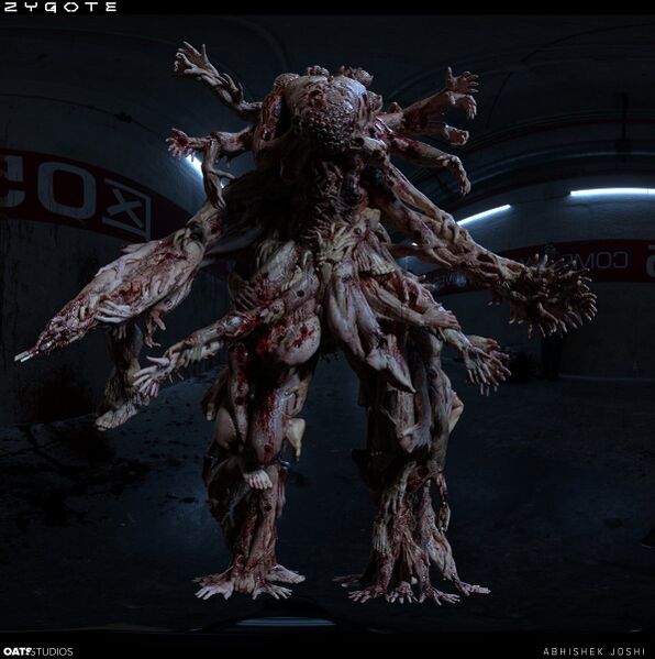 Файл:Zygote concept.jpg